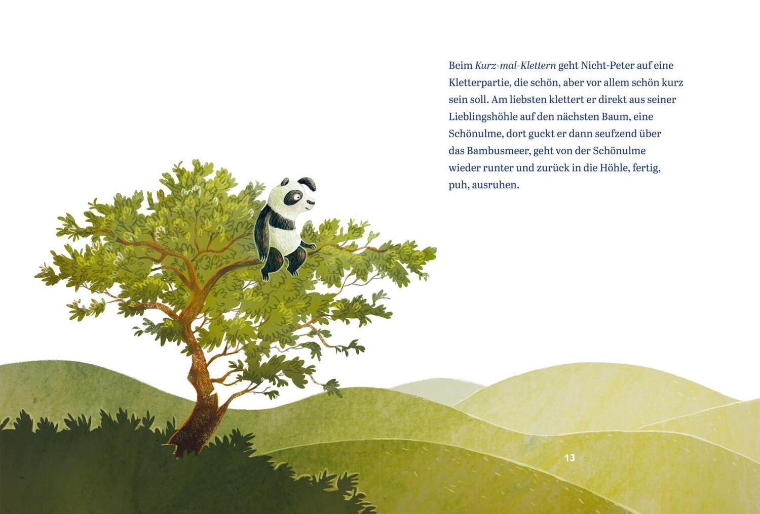 Bild: 9783551521804 | Panda-Pand | Sasa Stanisic | Buch | 80 S. | Deutsch | 2021 | Carlsen