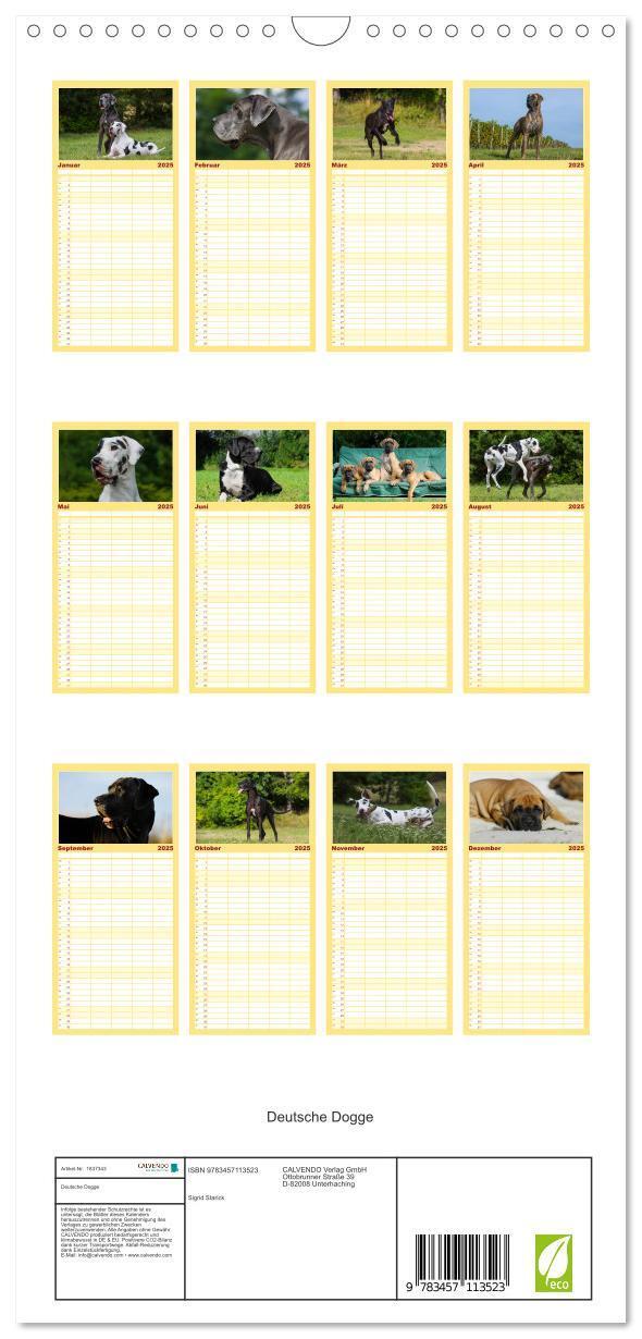 Bild: 9783457113523 | Familienplaner 2025 - Deutsche Dogge mit 5 Spalten (Wandkalender,...