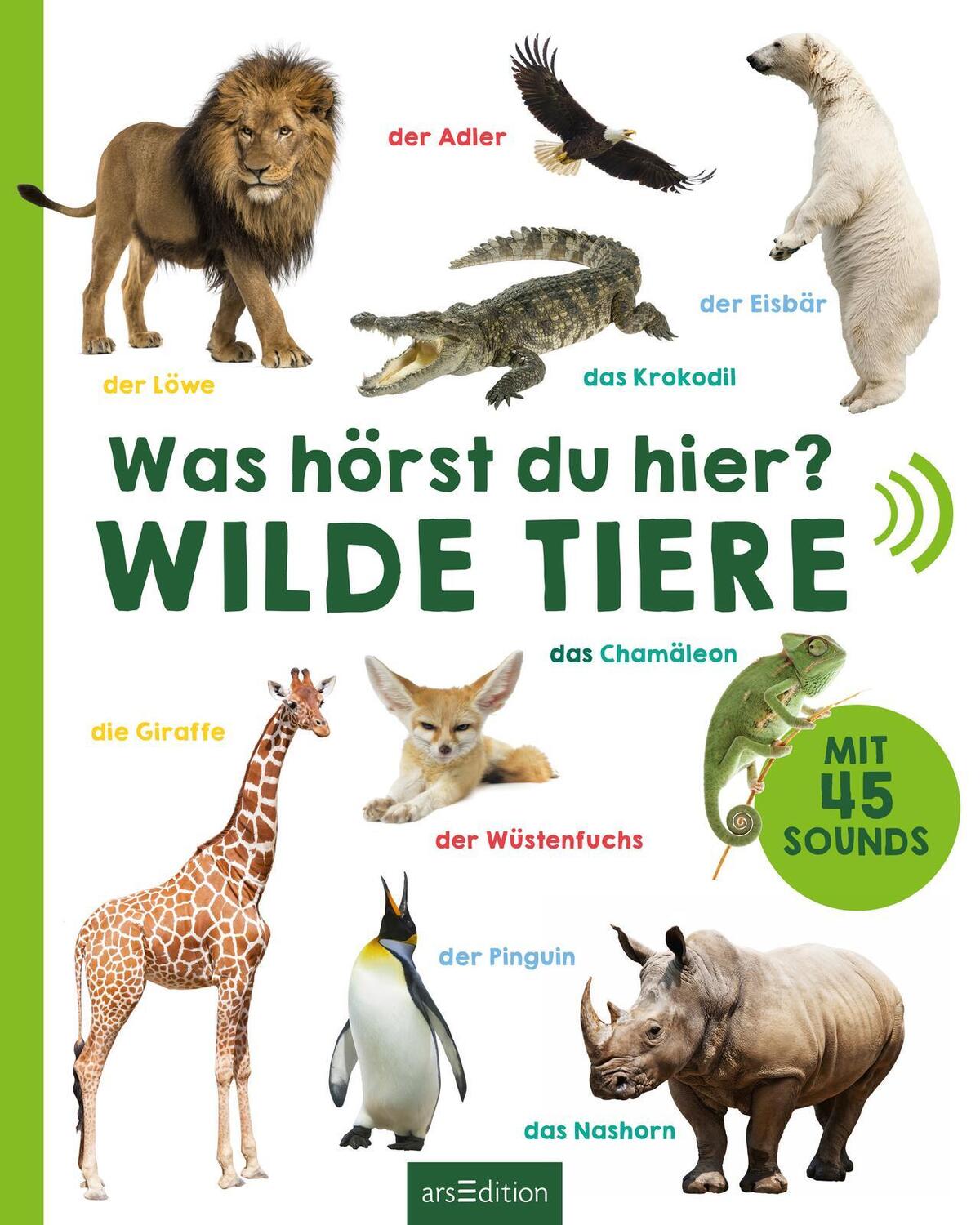 Bild: 9783845827278 | Was hörst du hier? - Wilde Tiere | Mit 50 Sounds | Buch | 16 S. | 2018