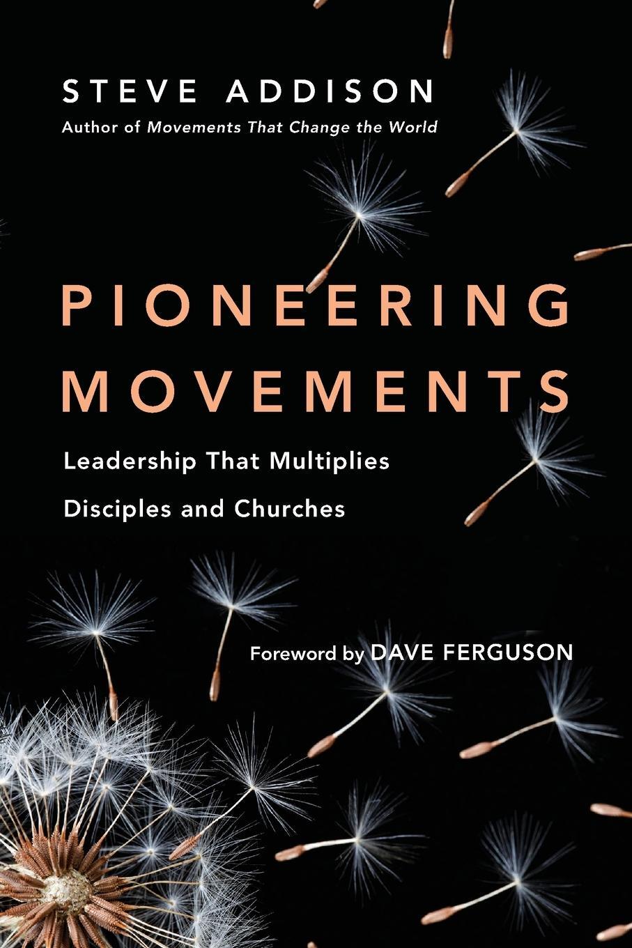 Cover: 9780830844418 | Pioneering Movements | Steve Addison | Taschenbuch | No Series Linked