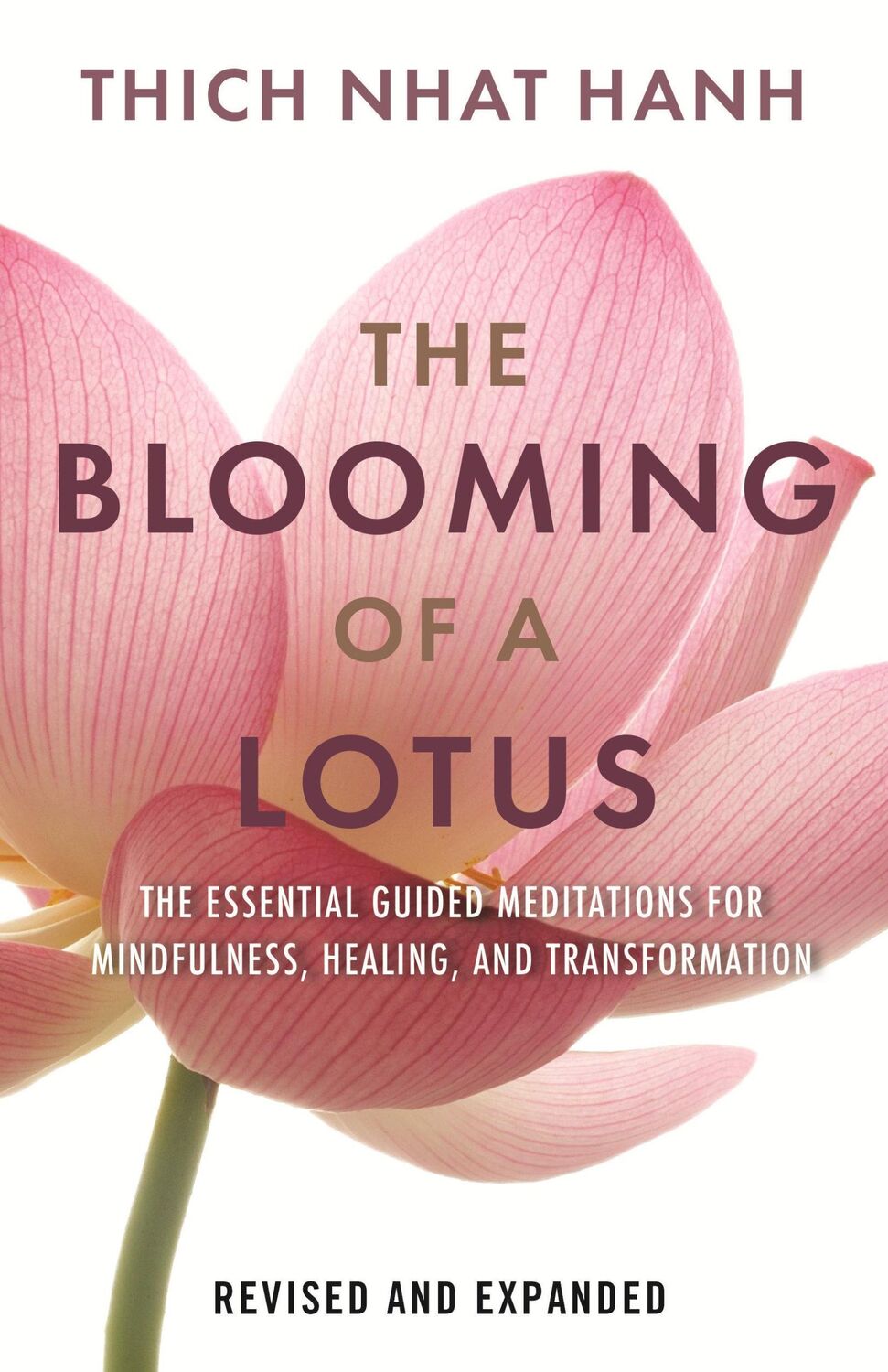 Cover: 9780807017876 | The Blooming of a Lotus | Thich Nhat Hanh | Buch | Englisch | 2022