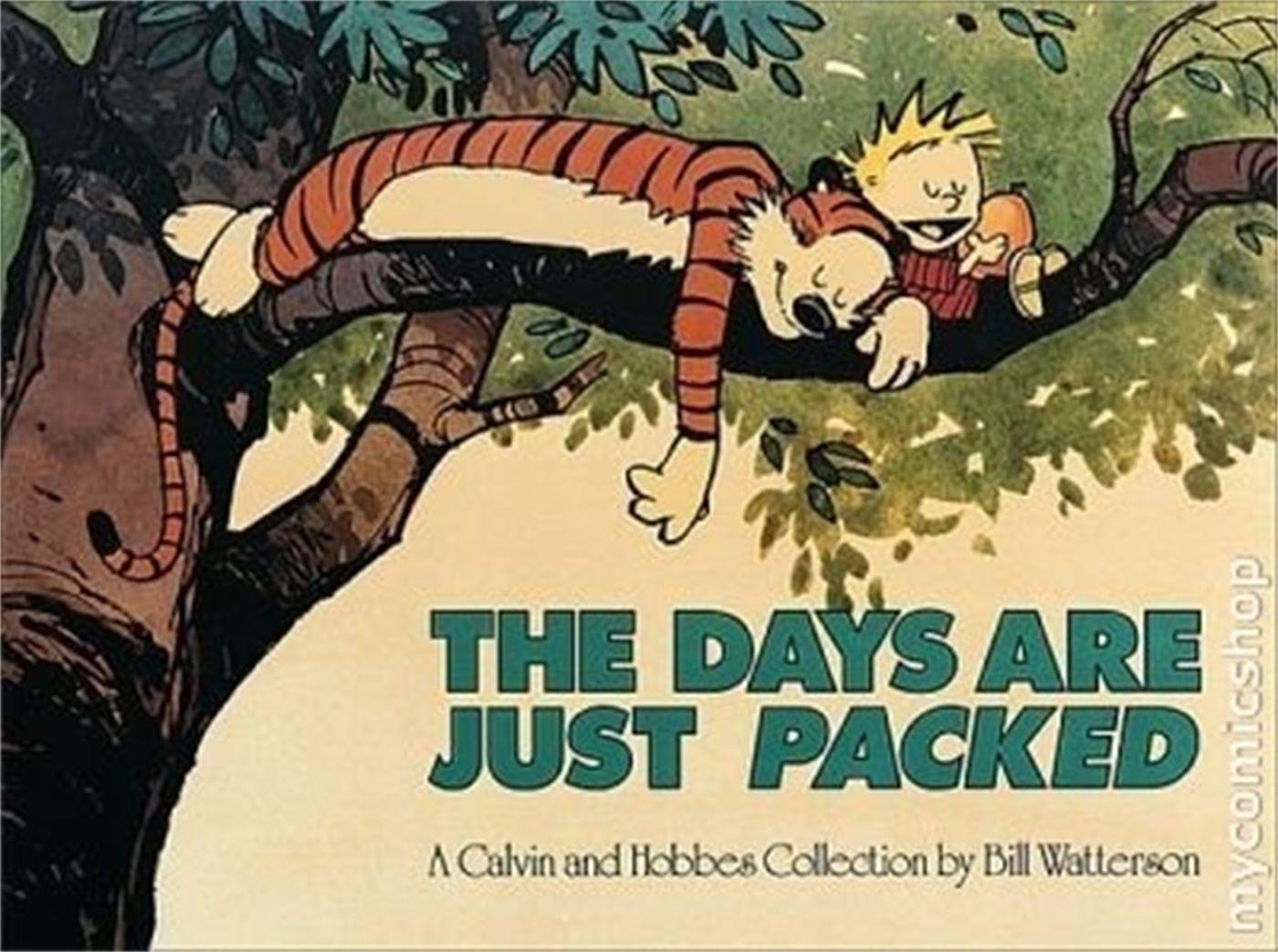 Cover: 9780751507614 | Calvin and Hobbes. The Days Are Just Packed | Bill Watterson | Buch