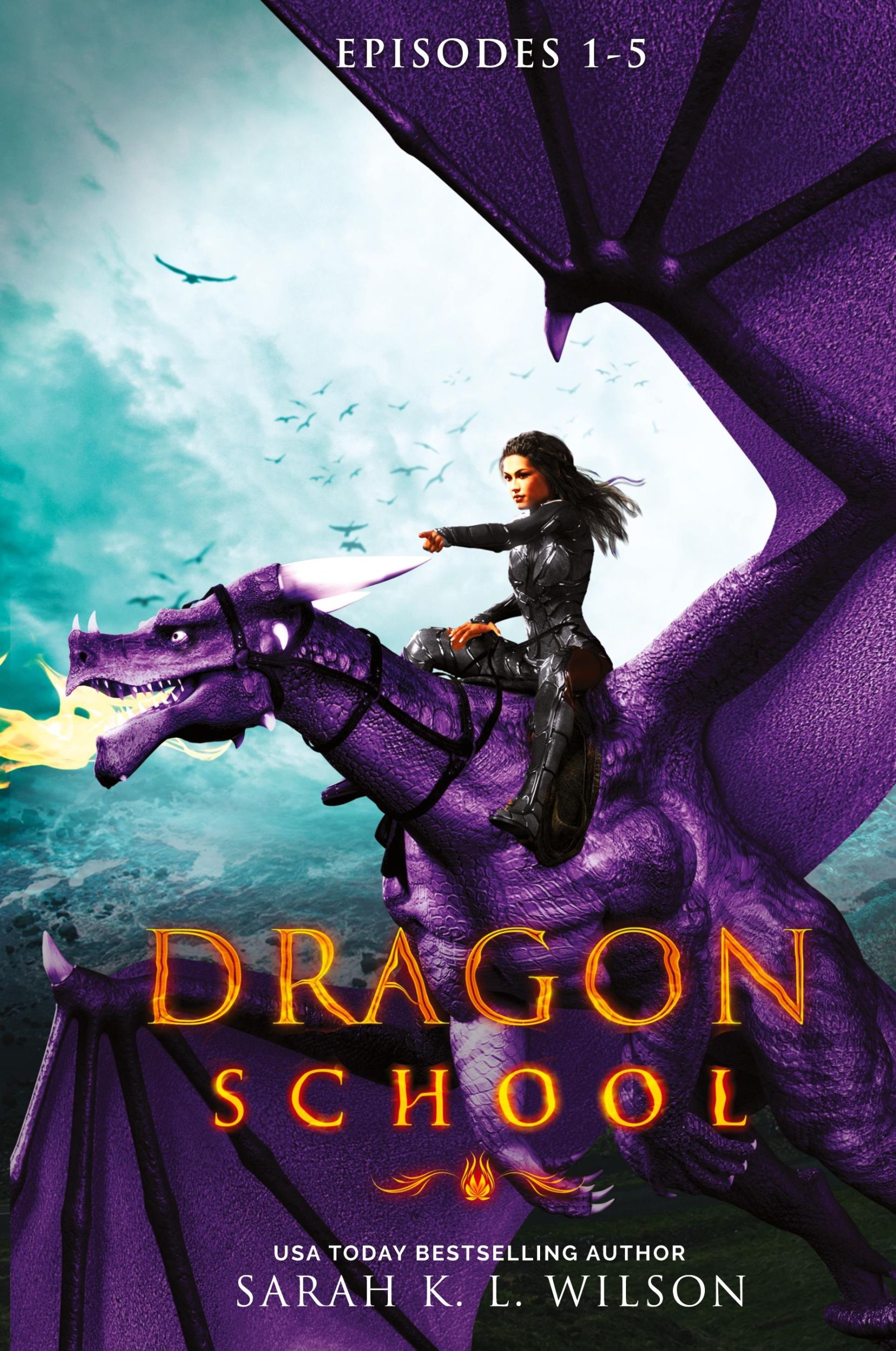 Cover: 9780987850201 | Dragon School | Episodes 1-5 | Sarah K. L. Wilson | Buch | Gebunden