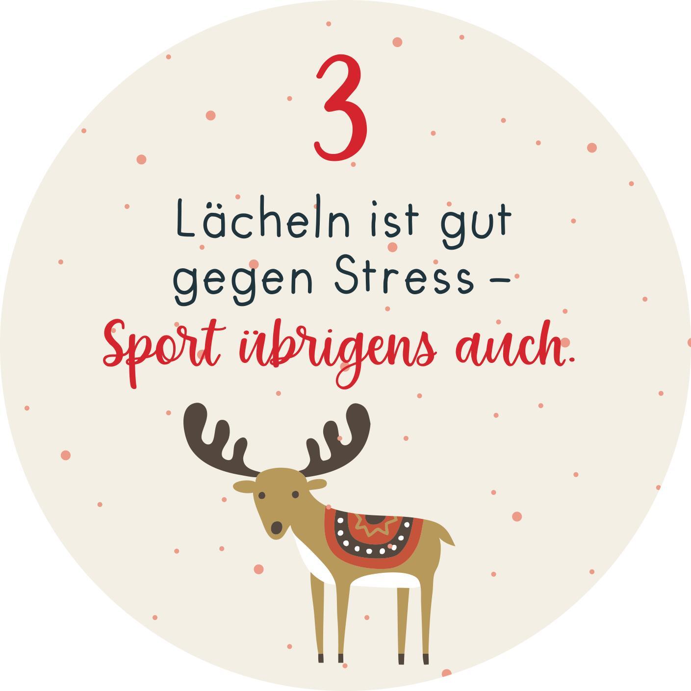 Bild: 9783845857404 | Adventskalender in der Dose. Christmas Fitness | Taschenbuch | 24 S.