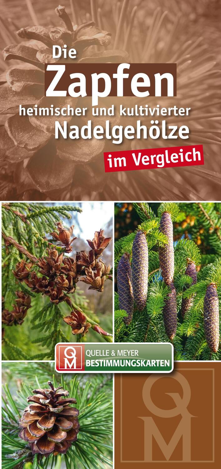 Cover: 9783494019888 | Die Zapfen heimischer und kultivierter Nadelgehölze im Vergleich