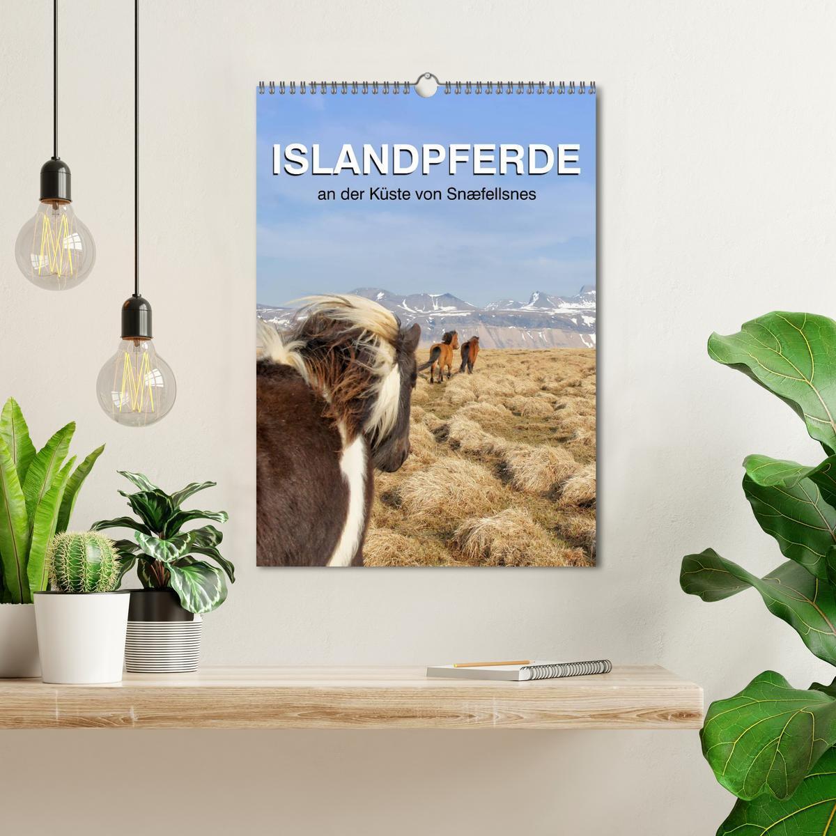 Bild: 9783457026335 | ISLANDPFERDE an der Küste von Snæfellsnes (Wandkalender 2025 DIN A3...