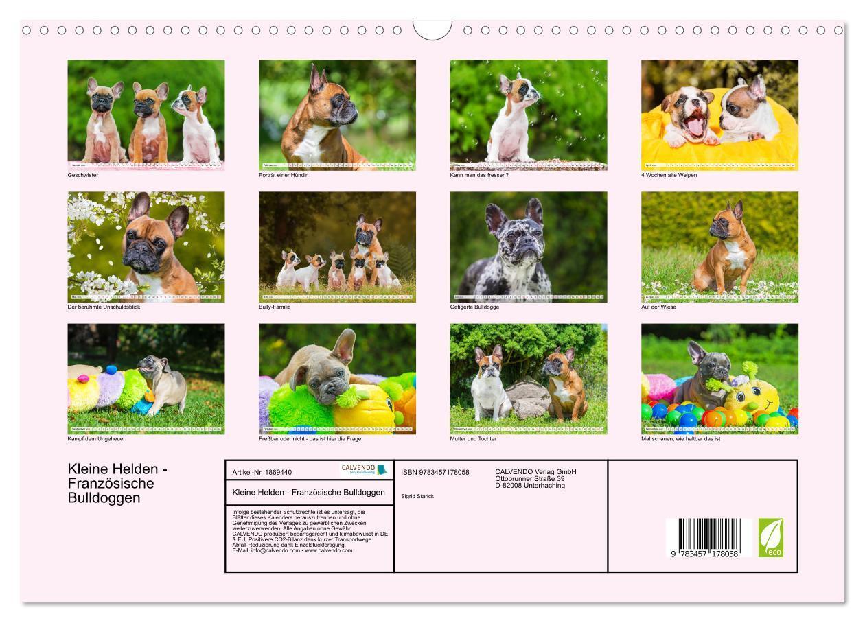 Bild: 9783457178058 | Kleine Helden - Französische Bulldoggen (Wandkalender 2025 DIN A3...