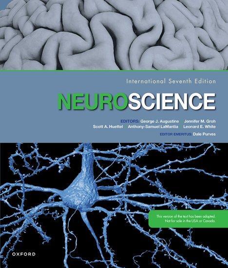 Cover: 9780197572511 | Neuroscience | Anthony-Samuel Lamantia (u. a.) | Taschenbuch | 2023