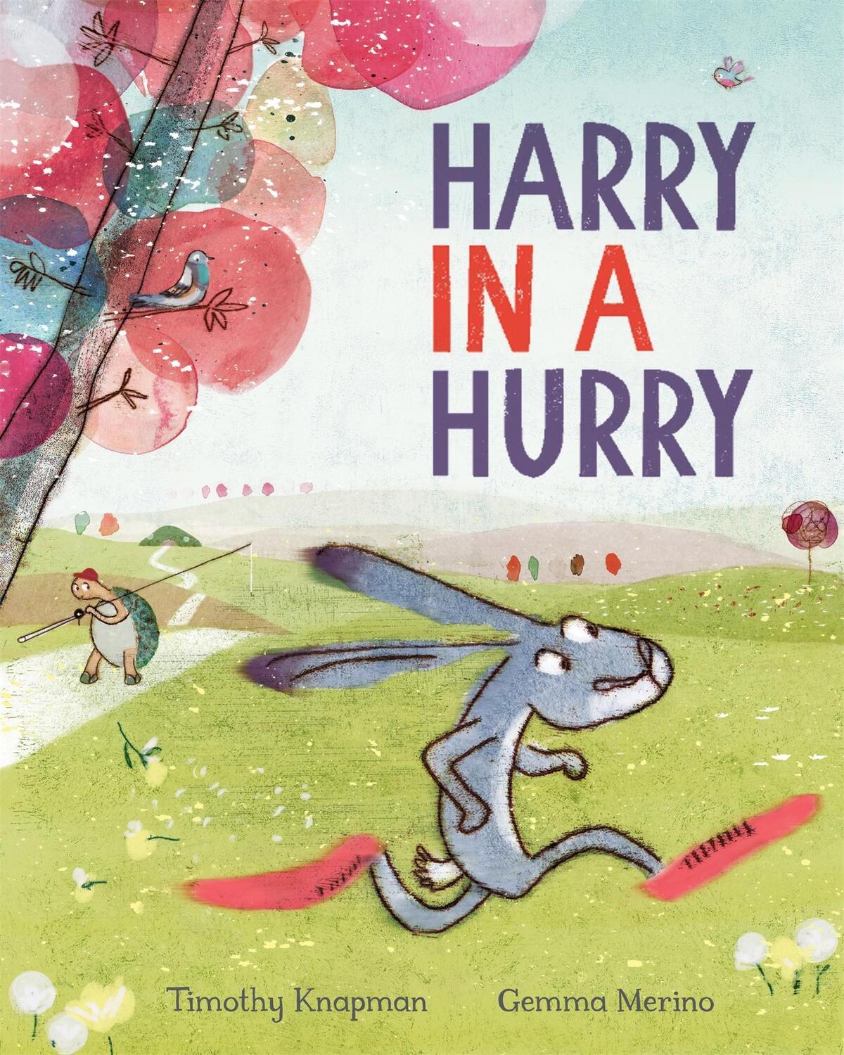 Cover: 9781509882175 | Harry in a Hurry | Timothy Knapman | Taschenbuch | Englisch | 2019