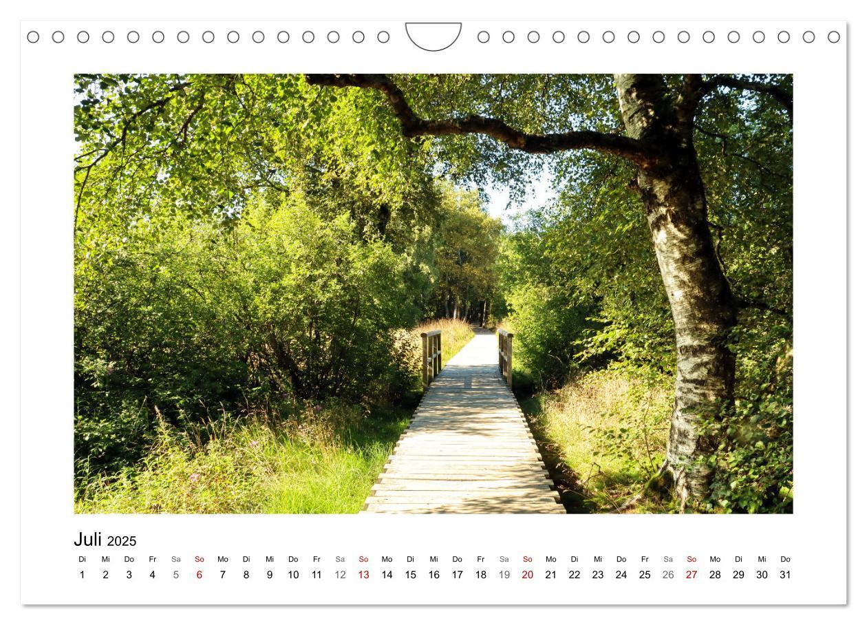 Bild: 9783435026791 | Rotes und Schwarzes Moor (Wandkalender 2025 DIN A4 quer), CALVENDO...