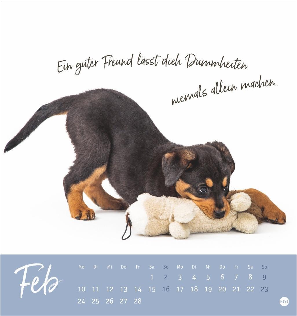 Bild: 9783756407064 | Ziemlich beste Freunde Postkartenkalender 2025 - Für immer dein | Heye