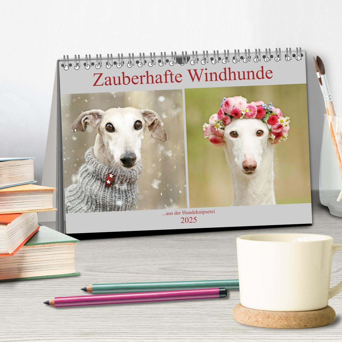 Bild: 9783435438389 | Zauberhafte Windhunde (Tischkalender 2025 DIN A5 quer), CALVENDO...