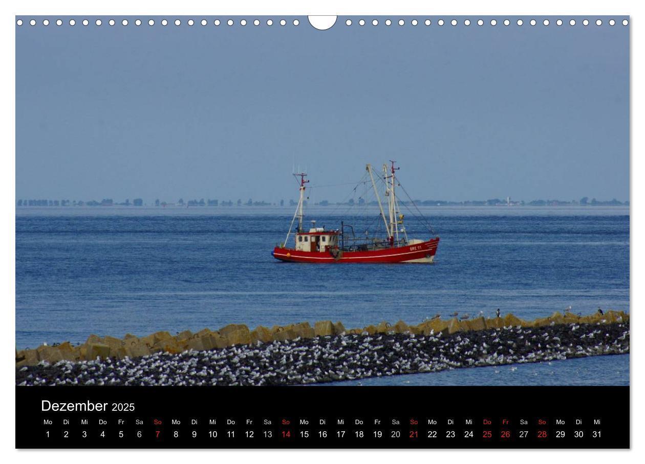 Bild: 9783435764754 | Cuxhaven an der Nordsee (Wandkalender 2025 DIN A3 quer), CALVENDO...