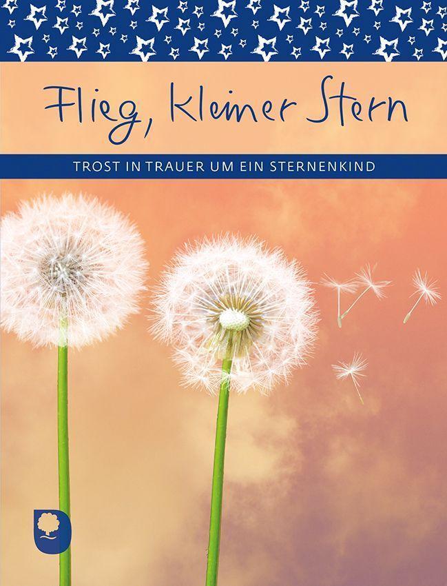 Cover: 9783869179780 | Flieg, kleiner Stern | Trost in Trauer um ein Sternenkind | Buch