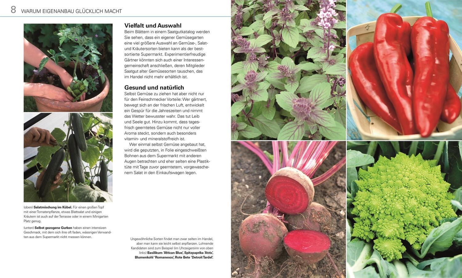 Bild: 9783831043965 | Gemüse für jeden Garten | Planen, anbauen, ernten | Alan Buckingham