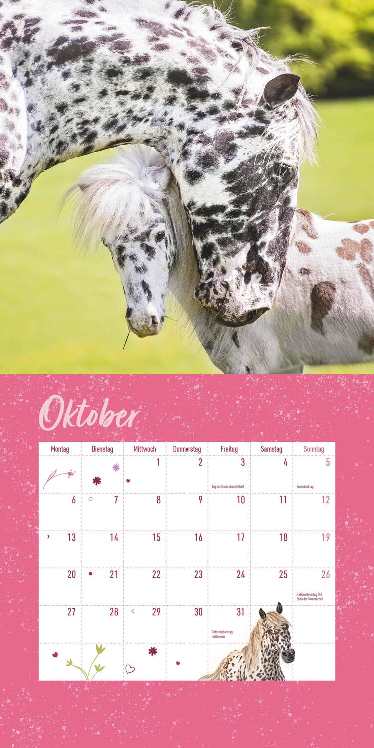 Bild: 4250809652801 | Pferdefreunde 2025 - Broschürenkalender - Kinder-Kalender - Format...