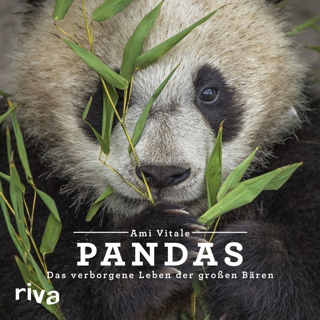 Cover: 9783742306807 | Pandas | Das verborgene Leben der großen Bären | Ami Vitale | Buch