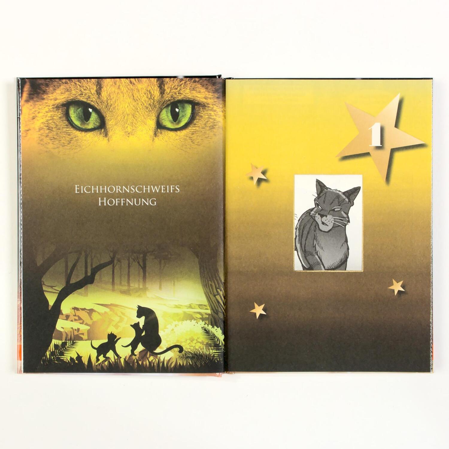 Bild: 9783407757661 | Warrior Cats - Adventskalenderbuch | Erin Hunter | Buch | 104 S.