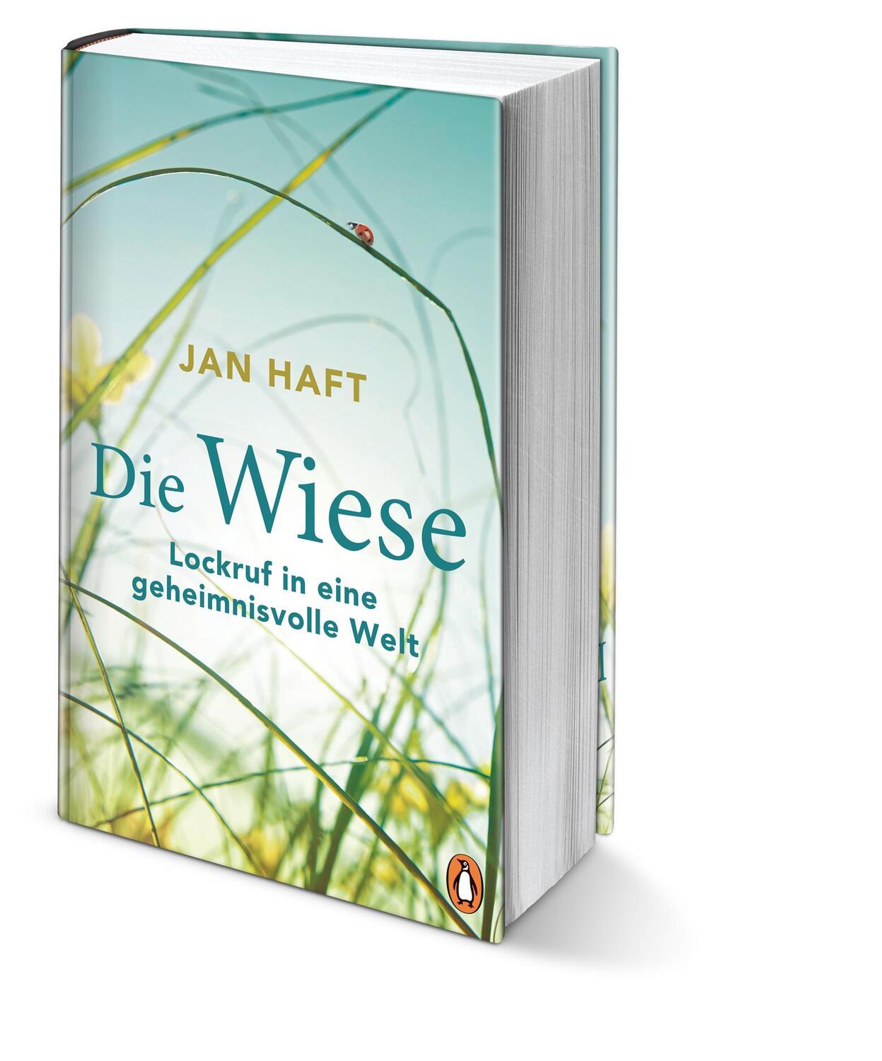 Bild: 9783328600664 | Die Wiese | Jan Haft | Buch | Flyer Wildtierstiftung | 256 S. | 2019