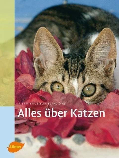 Cover: 9783800155811 | Alles über Katzen | Pierre Rousselet-Blanc | Buch | Deutsch | 2008
