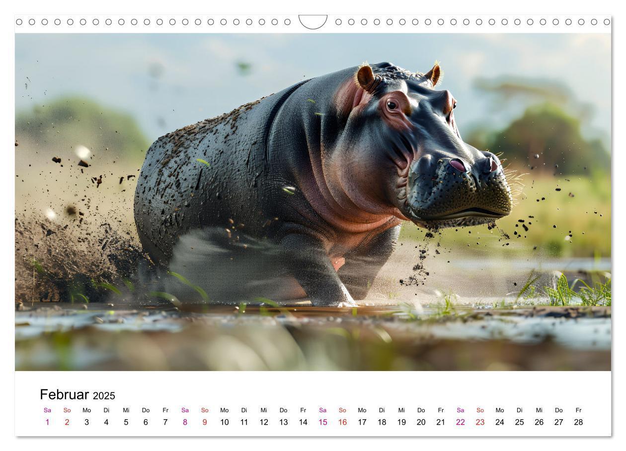 Bild: 9783457171899 | Flusspferde - Hippopotamus amphibius (Wandkalender 2025 DIN A3...