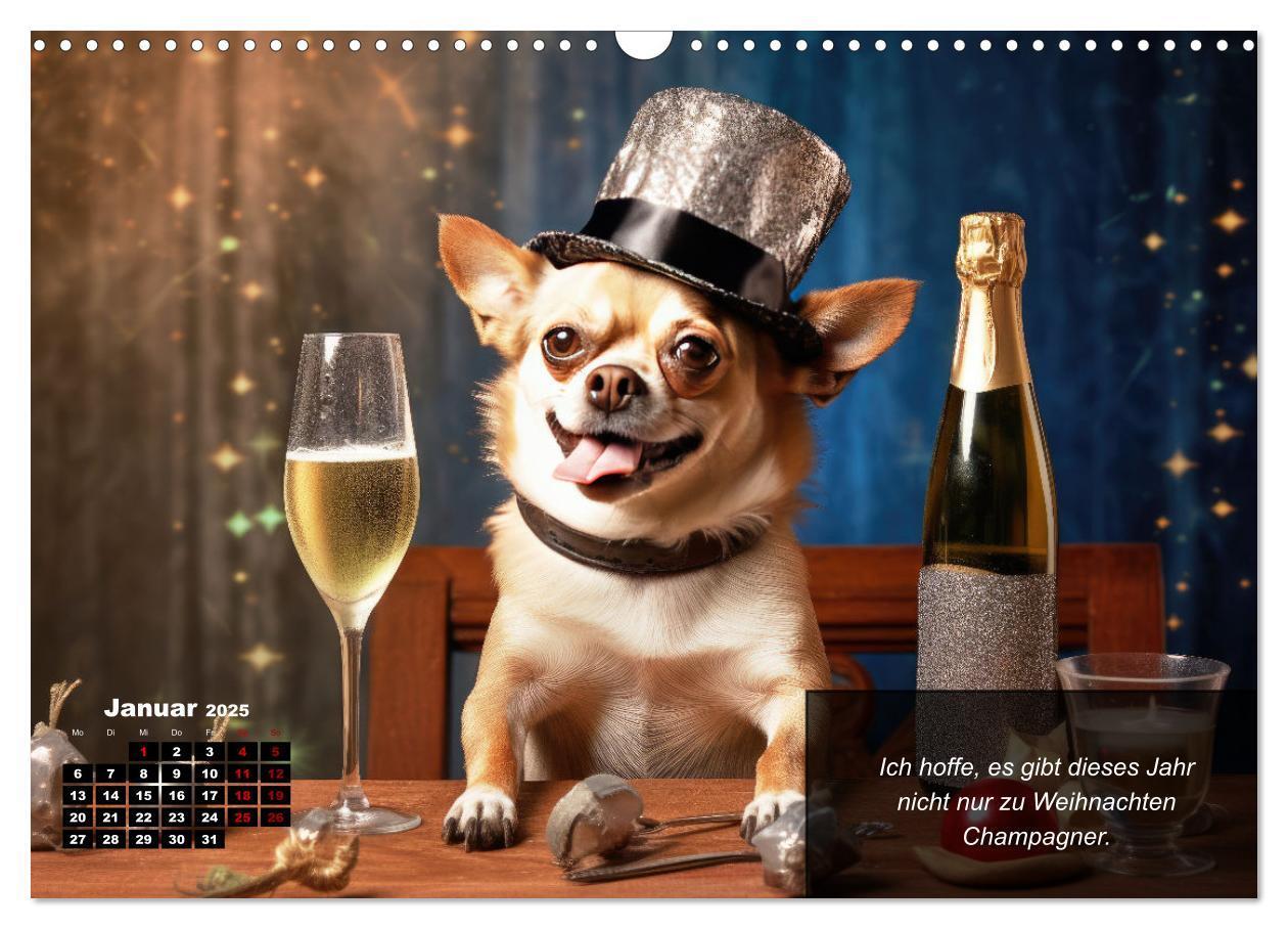 Bild: 9783457129425 | Lustige Chihuahua-Momente (Wandkalender 2025 DIN A3 quer), CALVENDO...