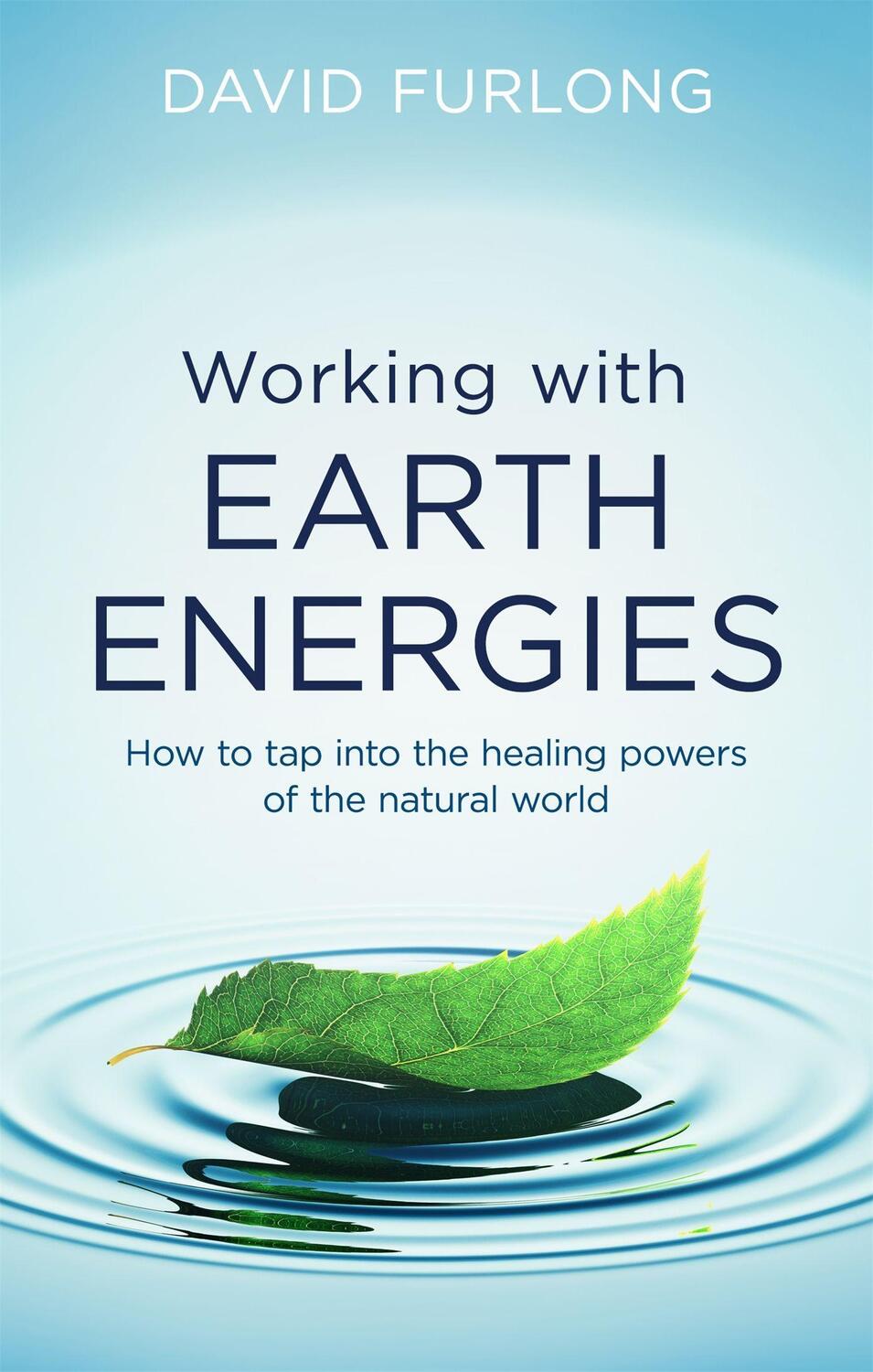 Cover: 9780749958558 | Working With Earth Energies | David Furlong | Taschenbuch | Englisch