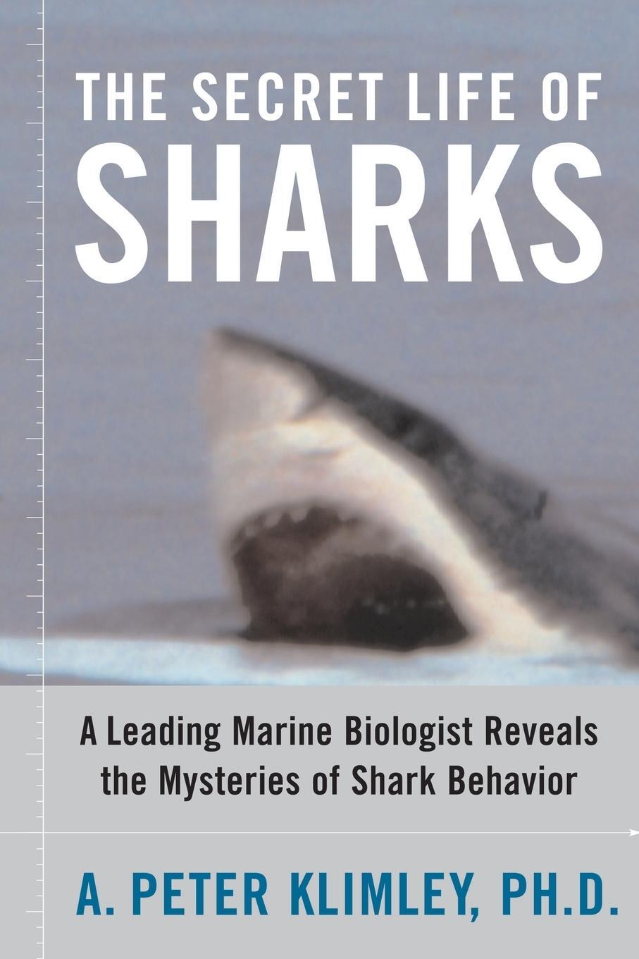 Cover: 9781416578338 | The Secret Life of Sharks | A. Peter Klimley | Taschenbuch | Paperback