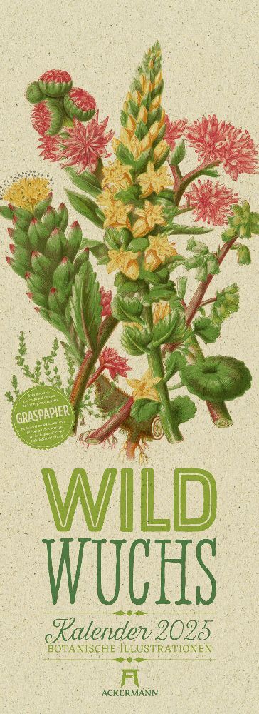 Cover: 9783838425290 | Wildwuchs - Botanische Illustrationen - Graspapier-Kalender 2025