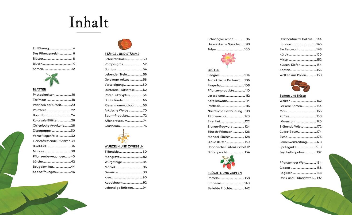 Bild: 9783831046959 | Große und kleine Schätze der Natur. Pflanzen | Ben Hoare | Buch | 2023