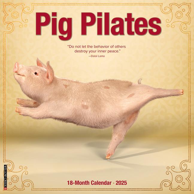 Cover: 9781549244452 | Pig Pilates 2025 12 X 12 Wall Calendar | Willow Creek Press | Kalender