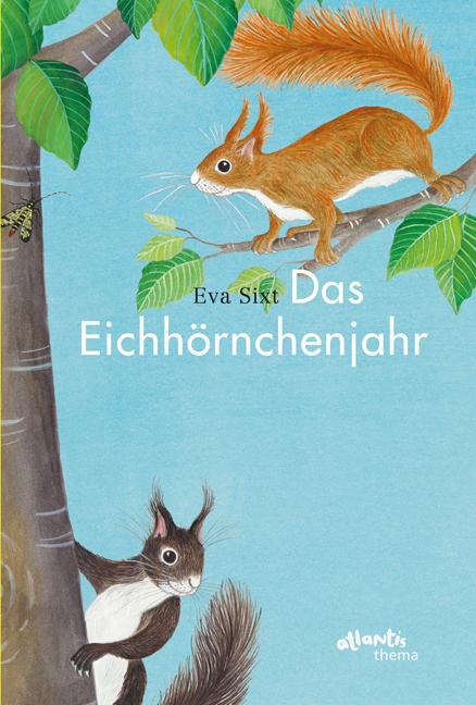 Cover: 9783715207254 | Das Eichhörnchenjahr | Eva Sixt | Buch | Atlantis Thema Bücher | 2017