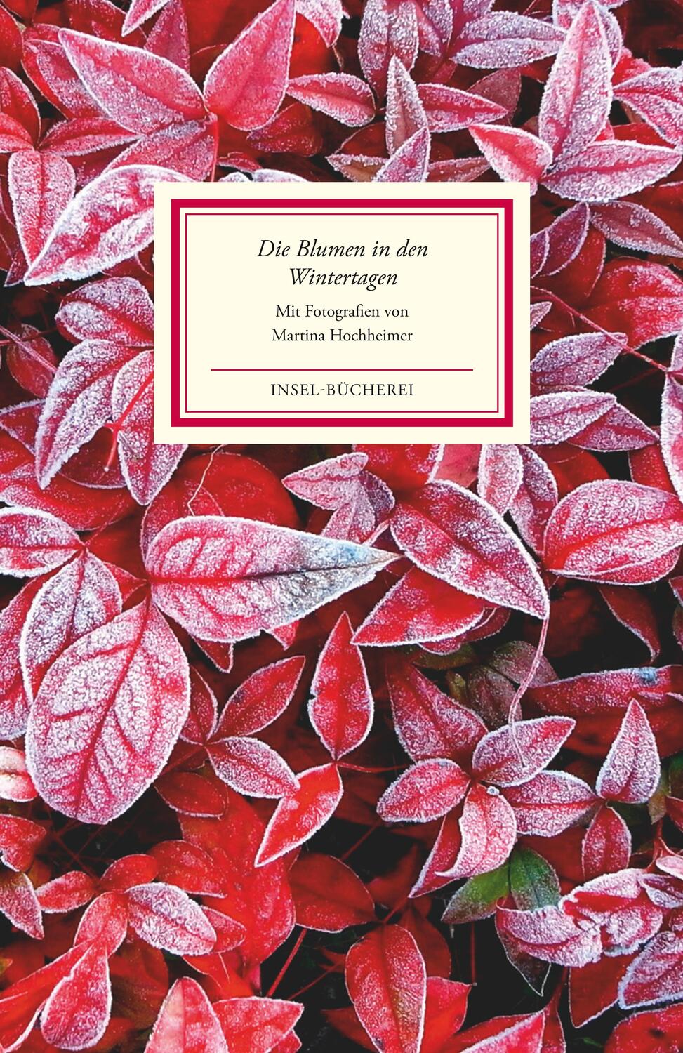 Cover: 9783458176220 | Die Blumen in den Wintertagen | Bilder und Texte | Martina Hochheimer