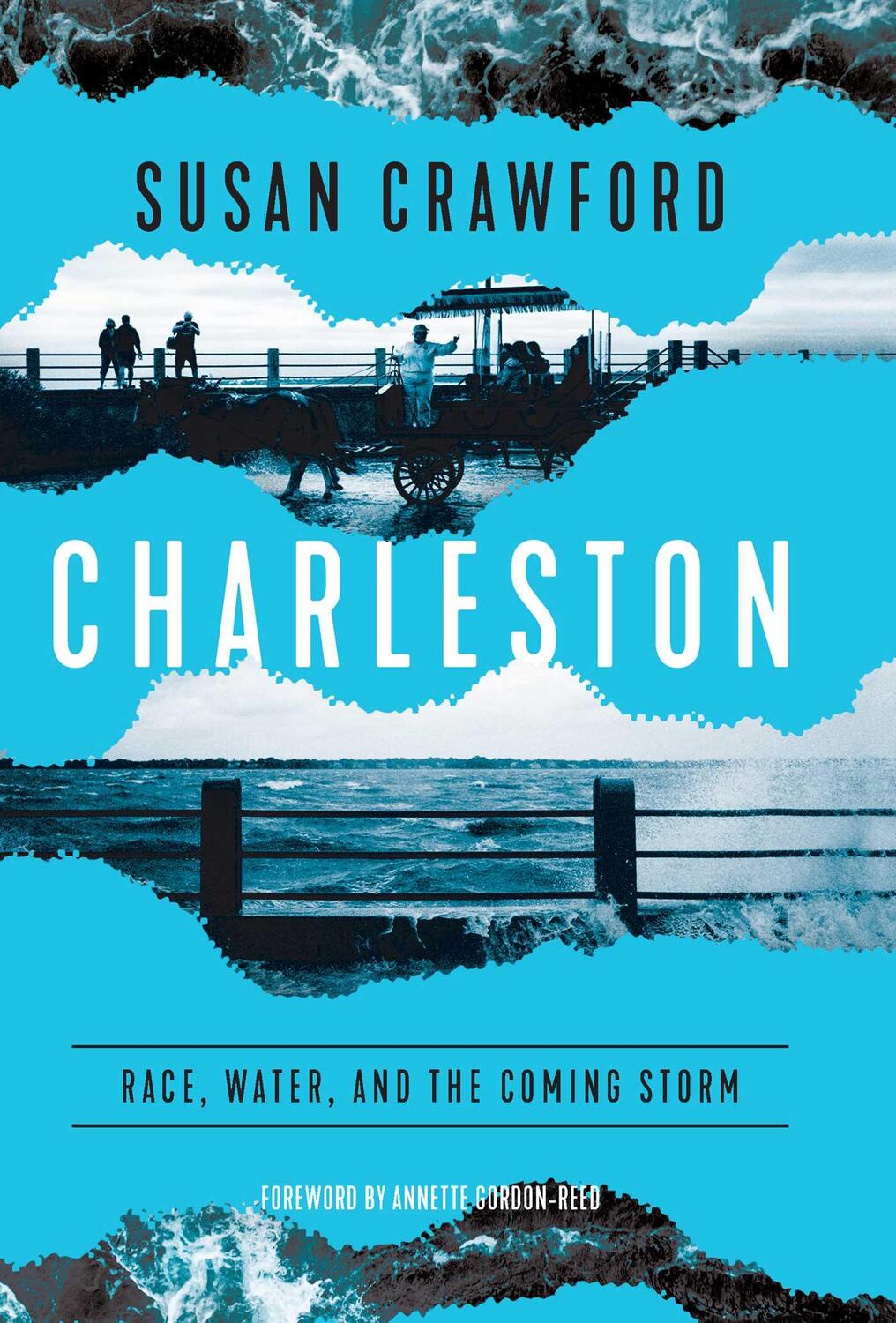 Cover: 9781639363575 | Charleston: Race, Water, and the Coming Storm | Susan Crawford | Buch