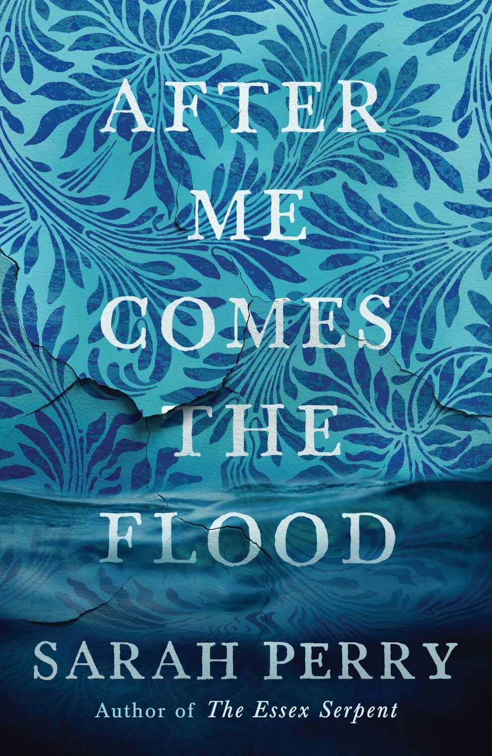 Cover: 9781781259559 | After Me Comes the Flood | From the author of The Essex Serpent | Buch