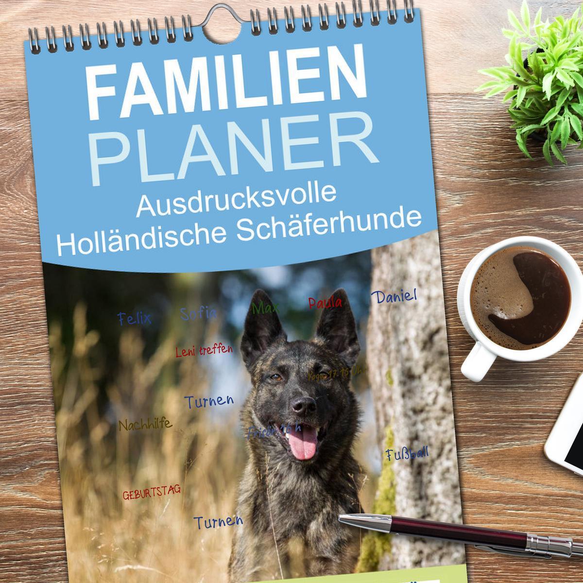 Bild: 9783457105122 | Familienplaner 2025 - ausdrucksvolle Holländische Schäferhunde mit...