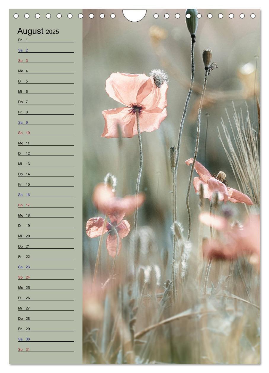 Bild: 9783435936199 | Pastell-Zauber (Wandkalender 2025 DIN A4 hoch), CALVENDO...