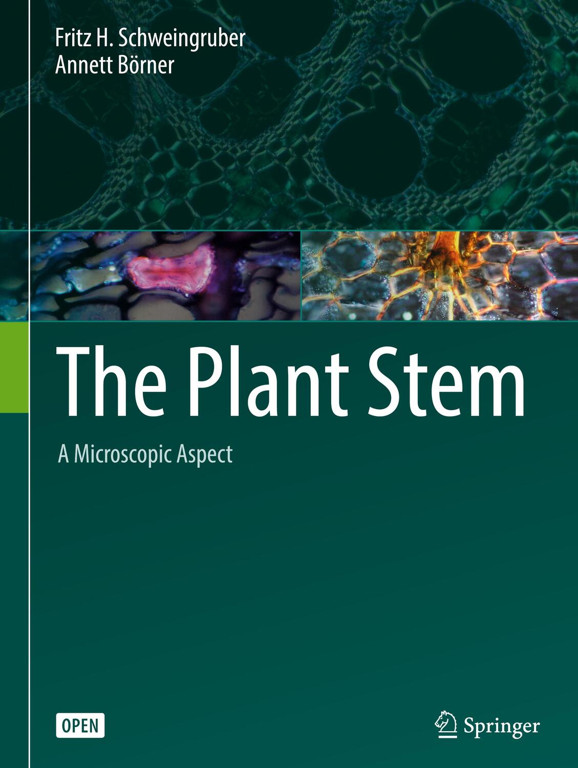 Cover: 9783319735238 | The Plant Stem | A Microscopic Aspect | Fritz H. Schweingruber (u. a.)