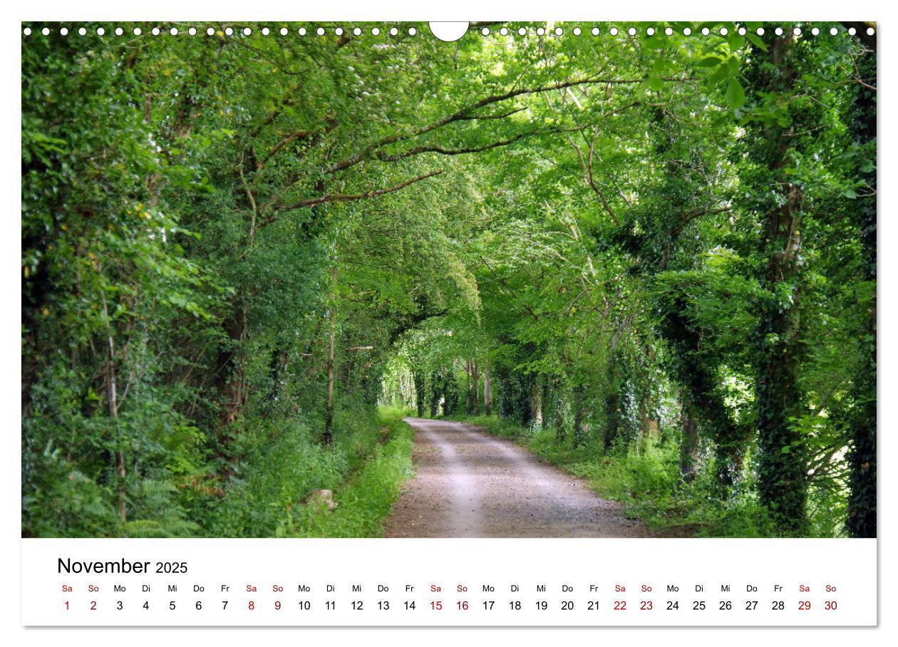 Bild: 9783435416646 | Cornwall und Wales (Wandkalender 2025 DIN A3 quer), CALVENDO...