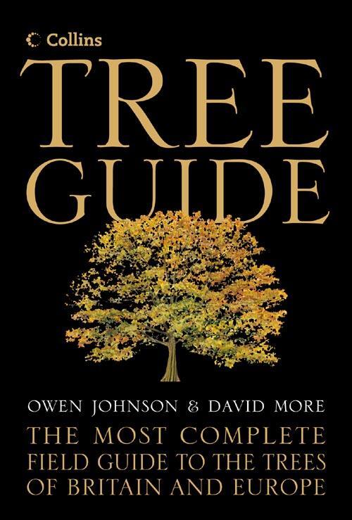 Cover: 9780007139545 | Collins Tree Guide | David More (u. a.) | Buch | Gebunden | Englisch