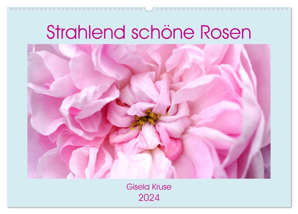 Cover: 9783383001147 | Strahlend schöne Rosen (Wandkalender 2024 DIN A2 quer), CALVENDO...