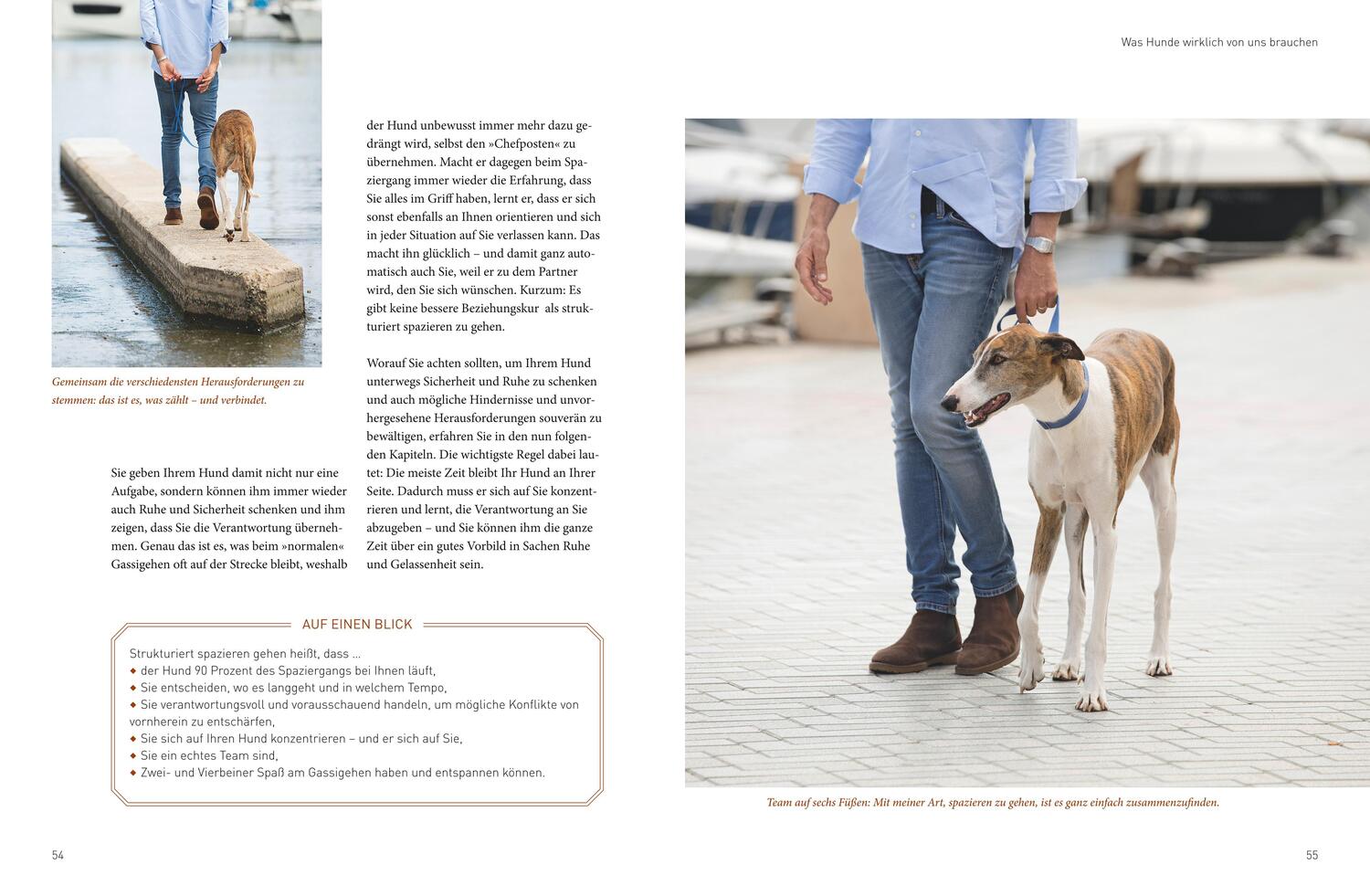 Bild: 9783833870958 | Die José-Arce-Methode: Liebe Deinen Hund. Wie Sie beim Gassigehen...