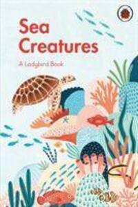 Cover: 9780241417072 | A Ladybird Book: Sea Creatures | Buch | A Ladybird Book | Englisch