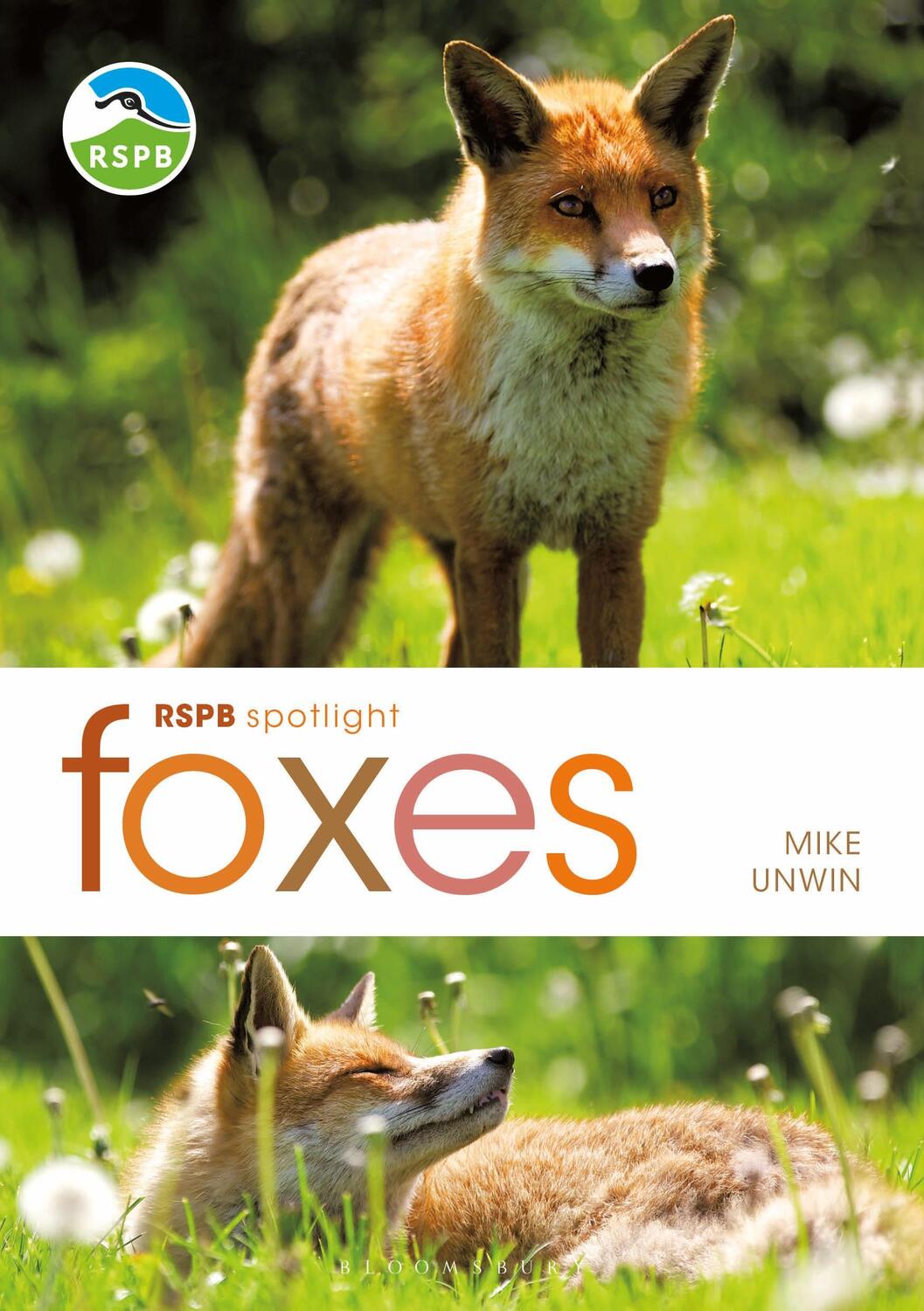 Cover: 9781472982100 | RSPB Spotlight: Foxes | Mike Unwin | Taschenbuch | RSPB | Englisch