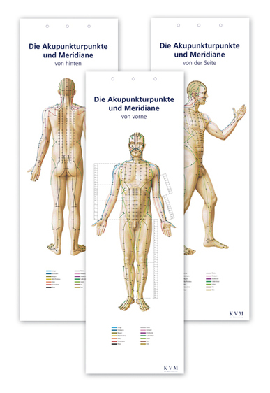 Cover: 9783932119613 | Die Akupunkturpunkte und Meridiane | Bernard C Kolster | 3 S. | 2008