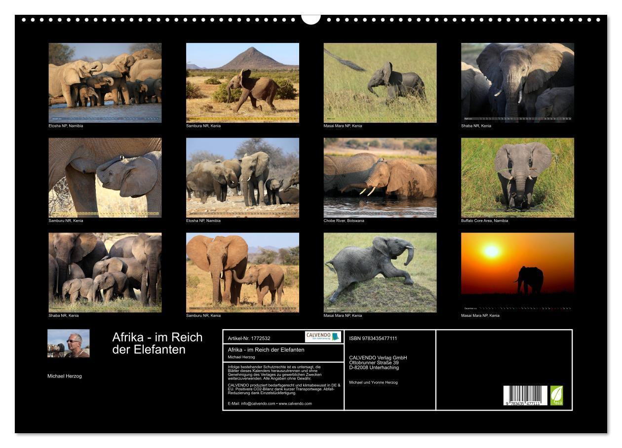 Bild: 9783435477111 | Afrika - im Reich der Elefanten (Wandkalender 2025 DIN A2 quer),...