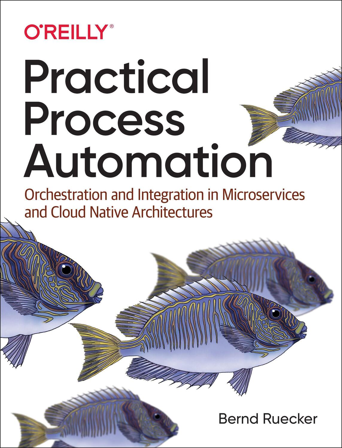 Cover: 9781492061458 | Practical Process Automation | Bernd Ruecker | Taschenbuch | Englisch
