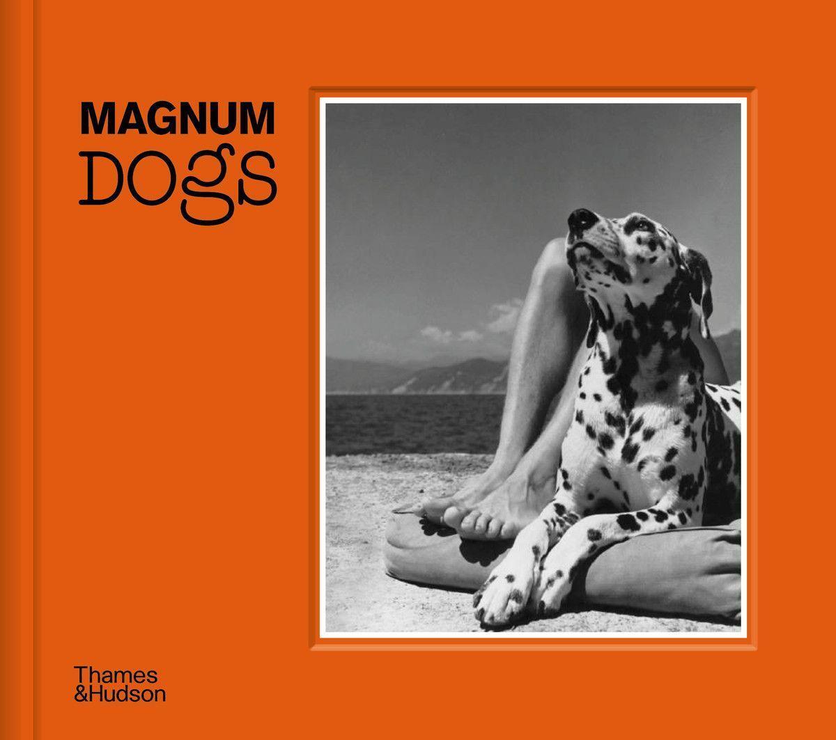Cover: 9780500545478 | Magnum Dogs | Magnum Photos | Buch | Englisch | 2022 | Thames & Hudson