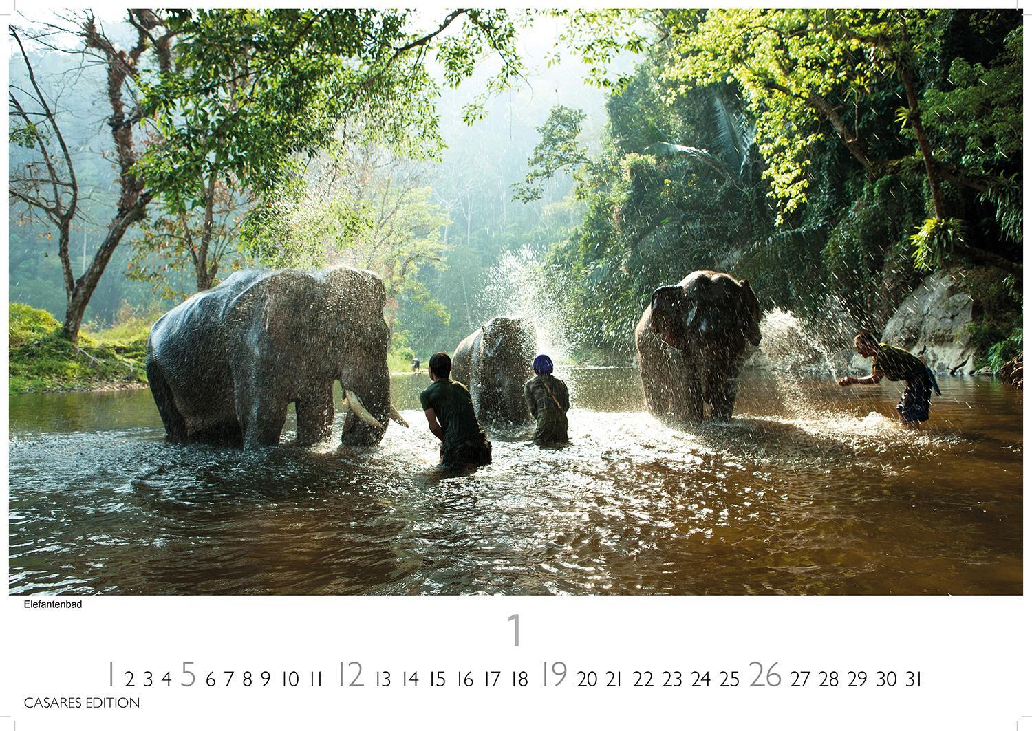 Bild: 9781835242407 | Thailand 2025 L 35x50cm | Kalender | 14 S. | Deutsch | 2025