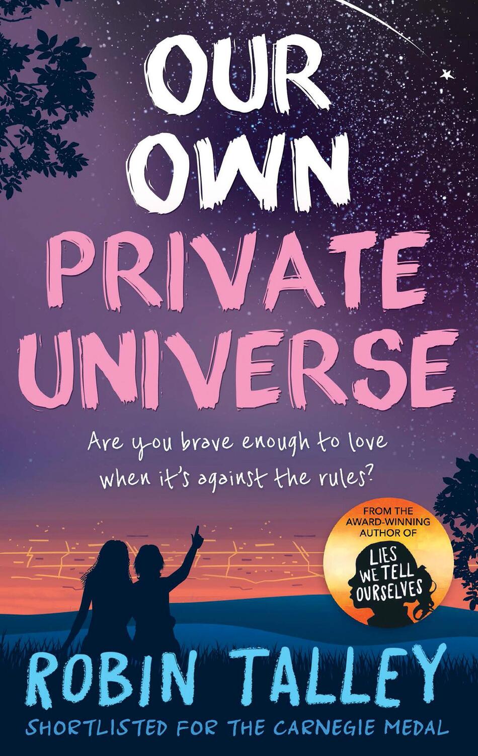 Cover: 9781848455030 | Our Own Private Universe | Robin Talley | Taschenbuch | Englisch
